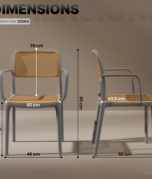 beAAtho Bloom Designer Chair for Dining, Living Room, Bedroom, Cafeteria, Cafe, Restaurant & Hotel | Modern Accent Chair | Ergonomic Comfort | Indoor & Outdoor Use | 3-Year Warranty |
