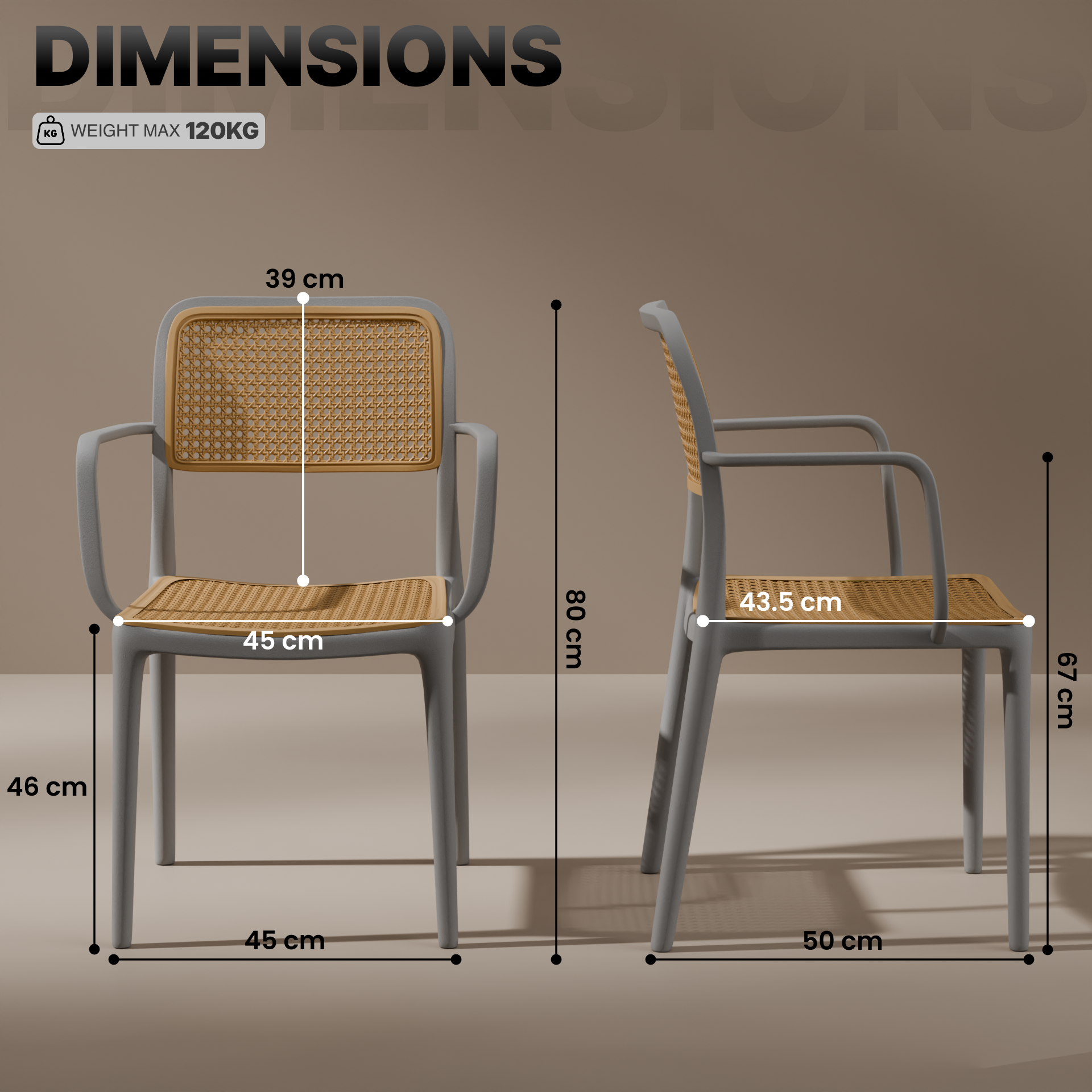 beAAtho Bloom Designer Chair for Dining, Living Room, Bedroom, Cafeteria, Cafe, Restaurant & Hotel | Modern Accent Chair | Ergonomic Comfort | Indoor & Outdoor Use | 3-Year Warranty |