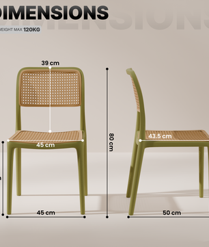 beAAtho Bloom Designer Chair for Dining, Living Room, Bedroom, Cafeteria, Cafe, Restaurant & Hotel | Modern Accent Chair | Ergonomic Comfort | Indoor & Outdoor Use | 3-Year Warranty |