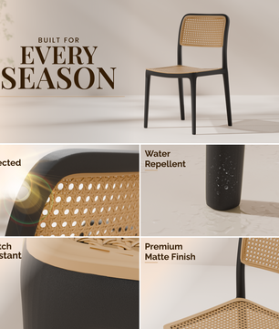 beAAtho Bloom Designer Chair for Dining, Living Room, Bedroom, Cafeteria, Cafe, Restaurant & Hotel | Modern Accent Chair | Ergonomic Comfort | Indoor & Outdoor Use | 3-Year Warranty |