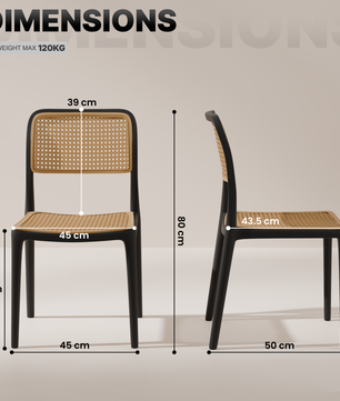 beAAtho Bloom Designer Chair for Dining, Living Room, Bedroom, Cafeteria, Cafe, Restaurant & Hotel | Modern Accent Chair | Ergonomic Comfort | Indoor & Outdoor Use | 3-Year Warranty |
