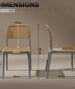 beAAtho Bloom Designer Chair for Dining, Living Room, Bedroom, Cafeteria, Cafe, Restaurant & Hotel | Modern Accent Chair | Ergonomic Comfort | Indoor & Outdoor Use | 3-Year Warranty |