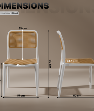 beAAtho Bloom Designer Chair for Dining, Living Room, Bedroom, Cafeteria, Cafe, Restaurant & Hotel | Modern Accent Chair | Ergonomic Comfort | Indoor & Outdoor Use | 3-Year Warranty |