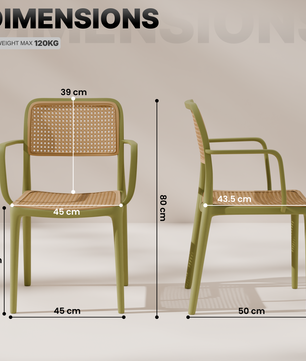 beAAtho Bloom Designer Chair for Dining, Living Room, Bedroom, Cafeteria, Cafe, Restaurant & Hotel | Modern Accent Chair | Ergonomic Comfort | Indoor & Outdoor Use | 3-Year Warranty |