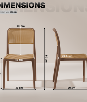 beAAtho Bloom Designer Chair for Dining, Living Room, Bedroom, Cafeteria, Cafe, Restaurant & Hotel | Modern Accent Chair | Ergonomic Comfort | Indoor & Outdoor Use | 3-Year Warranty |
