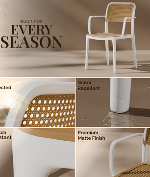 beAAtho Bloom Designer Chair for Dining, Living Room, Bedroom, Cafeteria, Cafe, Restaurant & Hotel | Modern Accent Chair | Ergonomic Comfort | Indoor & Outdoor Use | 3-Year Warranty |