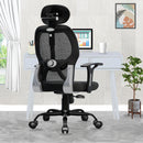 Leo Ergonomically Adjustable Executive High Back Mesh Home & Office Revolving Chair with 3 Years Warranty