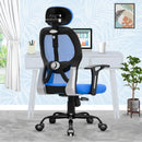 Leo Ergonomically Adjustable Executive High Back Mesh Home & Office Revolving Chair with 3 Years Warranty