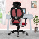 Leo Ergonomically Adjustable Executive High Back Mesh Home & Office Revolving Chair with 3 Years Warranty