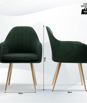 FurniVo Milano Velvet Comfort Dining Chair with Deep Cushion Seating, Strong Wooden Frame & Metal Support Legs for Dining, Living Room, Bedroom, Balcony & Office |
