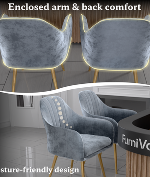 FurniVo Milano Velvet Comfort Dining Chair with Deep Cushion Seating, Strong Wooden Frame & Metal Support Legs for Dining, Living Room, Bedroom, Balcony & Office |