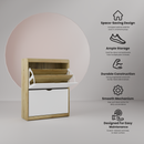 beAAtho® Zento Shoe Cabinet with Tilt-Out Drawers | 2 DOOR | Modern Wooden Shoe Organizer for Home & Office | Durable & Elegant | DIY |