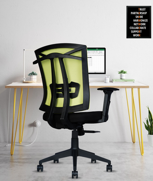 Irish Mesh Mid Back | 3-Year Warranty | Ergonomic Office Chair with Adjustable 3D Arms, 2D Lumbar Support & Coat Hanger