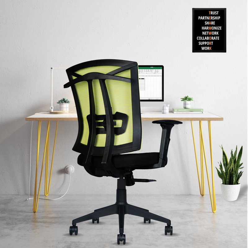 beAAtho® Irish Mesh Mid Back | 3-Year Warranty | Ergonomic Office Chair with Adjustable 3D Arms, 2D Lumbar Support & Coat Hanger