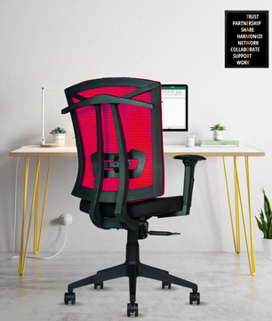 Irish Mesh Mid Back | 3-Year Warranty | Ergonomic Office Chair with Adjustable 3D Arms, 2D Lumbar Support & Coat Hanger