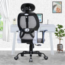 Leo Ergonomically Adjustable Executive High Back Mesh Home & Office Revolving Chair with 3 Years Warranty