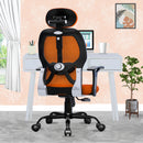 Leo Ergonomically Adjustable Executive High Back Mesh Home & Office Revolving Chair with 3 Years Warranty