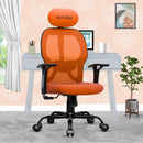 Leo Ergonomically Adjustable Executive High Back Mesh Home & Office Revolving Chair with 3 Years Warranty