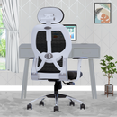 Leo Ergonomically Adjustable Executive High Back Mesh Home & Office Revolving Chair with 3 Years Warranty